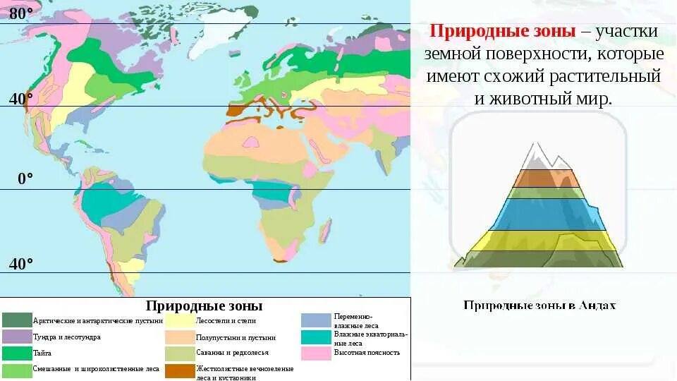 Какая природная зона занимает внутренние районы материков. Природные зоны земли карта. Природные зоны земли схема.