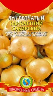 Лук сибирский описание
