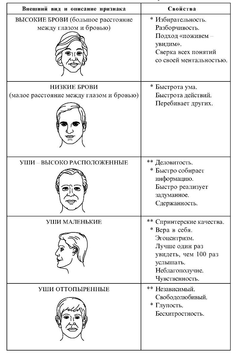 Прочитать как узнавать человека. Физиогномика лица и характер. физиогномика лица и характер схемы и описание. определение характера по чертам лица. физиограмма лица и характер человека.