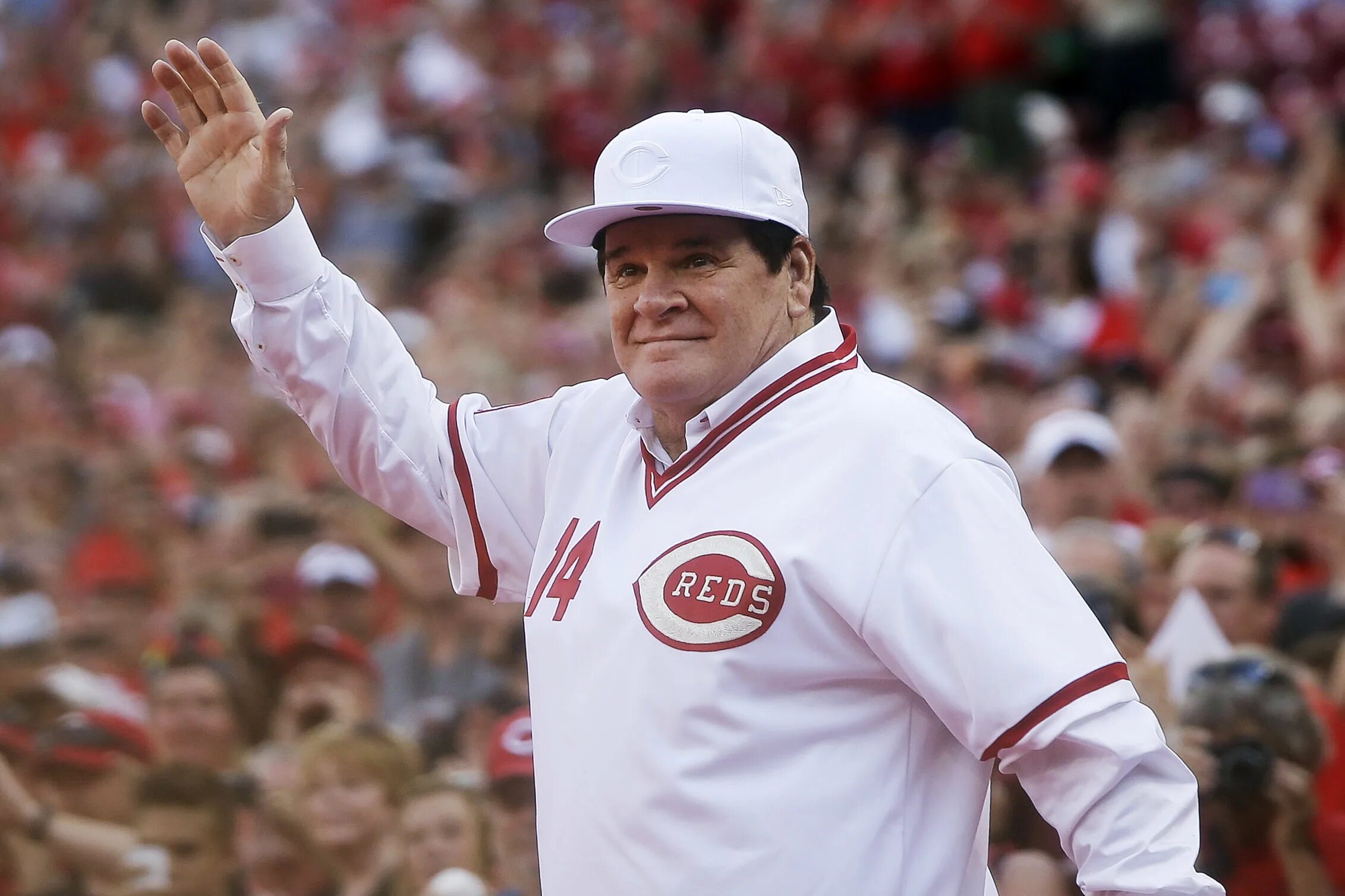 Winning at life. Pete Rose Baseball. Vegas Pete. Pete Alderton. Peter Red.