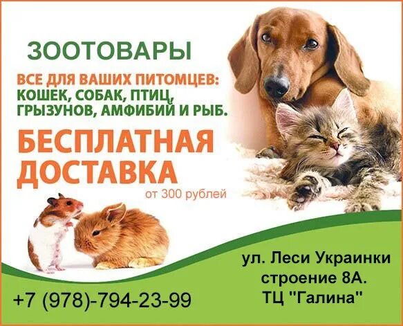 Готовый бизнес план зоомагазина: Бизнес план зоомагазина с расчетами - ICQ Infor