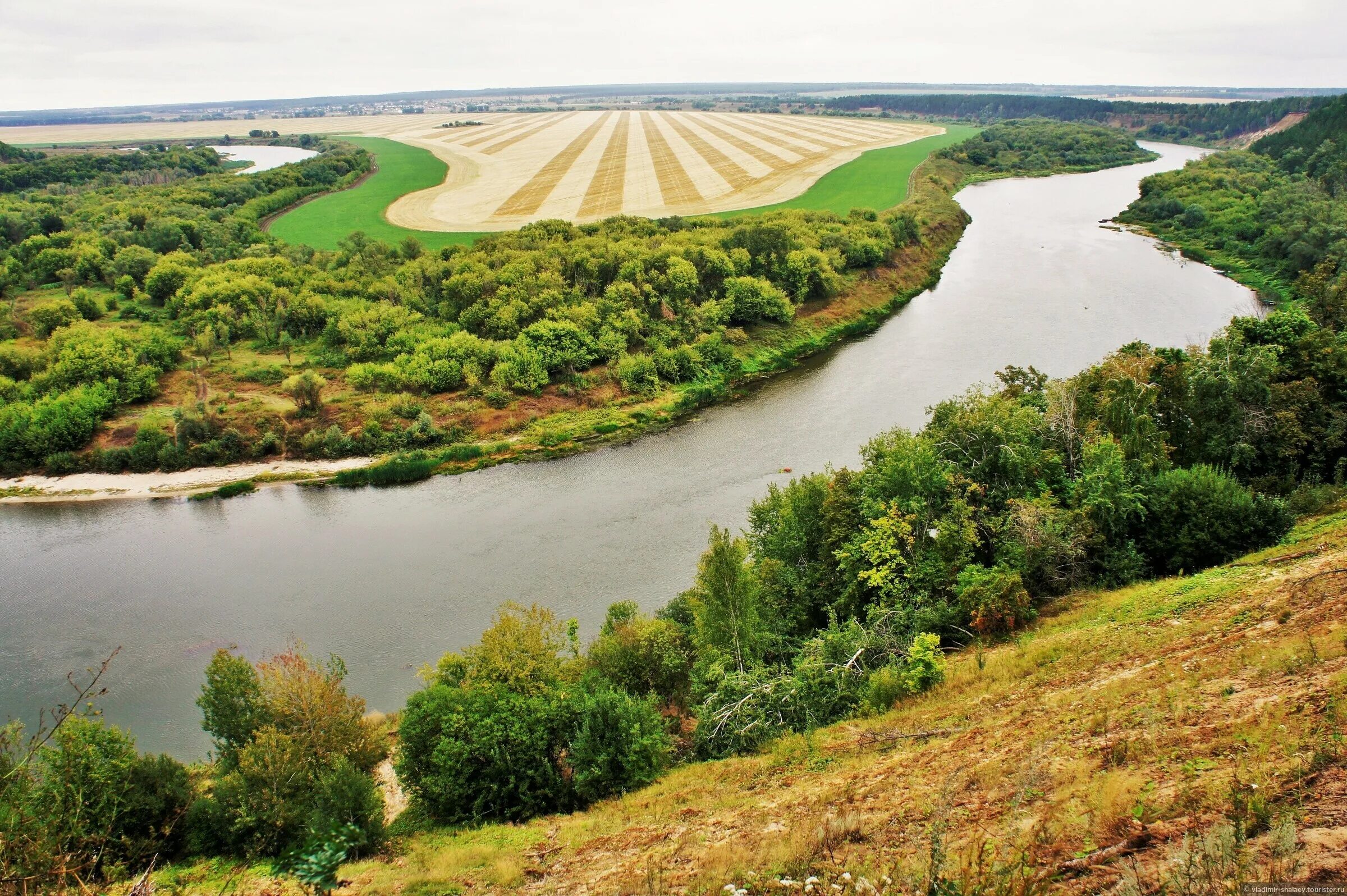 Река Дон, Кривоборье, Воронежская область. Лысая гора Кривоборье. Кривоборье Воронежская область рек. Урочище Кривоборье. Дон сколько рек