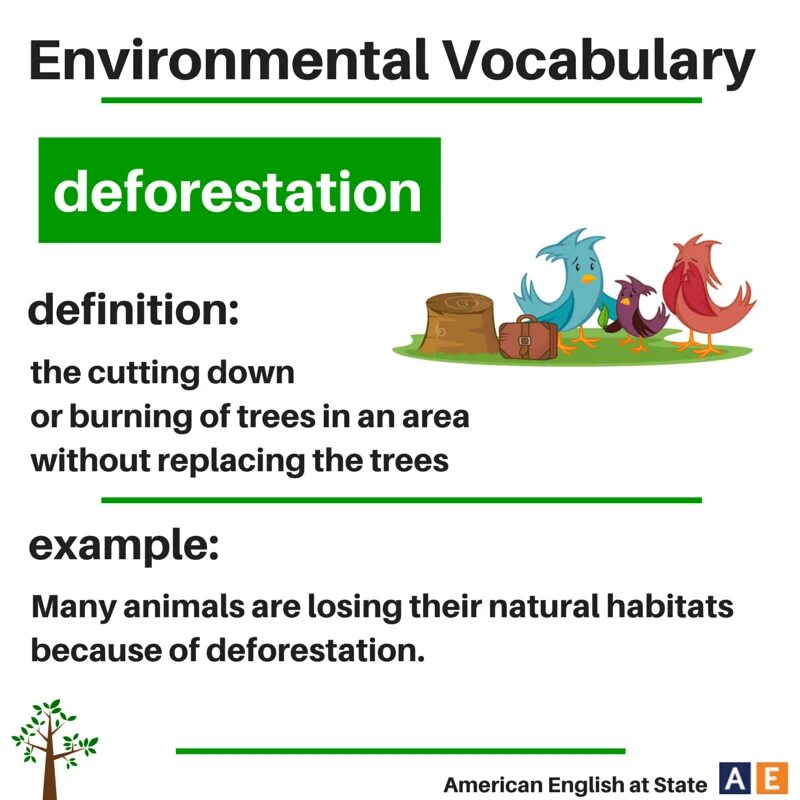 Environment Vocabulary. Вокабуляр по теме Environmental problems. Environmental problems Vocabulary. Environment английский язык.