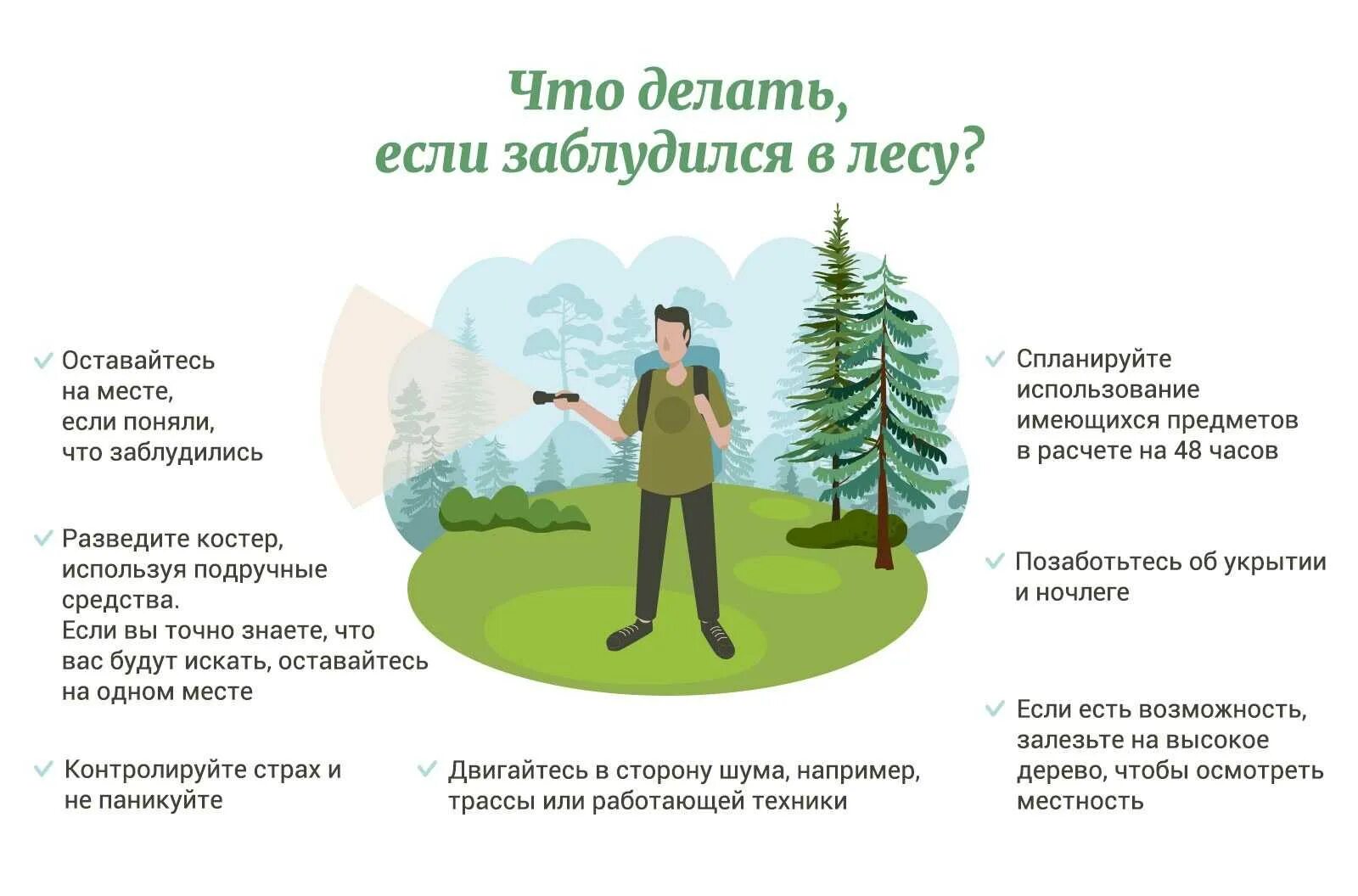 Правила поведения прогулки в лесу. Памятка заблудившемуся в лесу. памятка человеку который заблудился в лесу. памятка если заблудился в лесу. что делать если забоудился втдесу.
