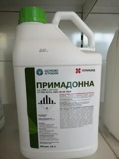 Примадонна 2