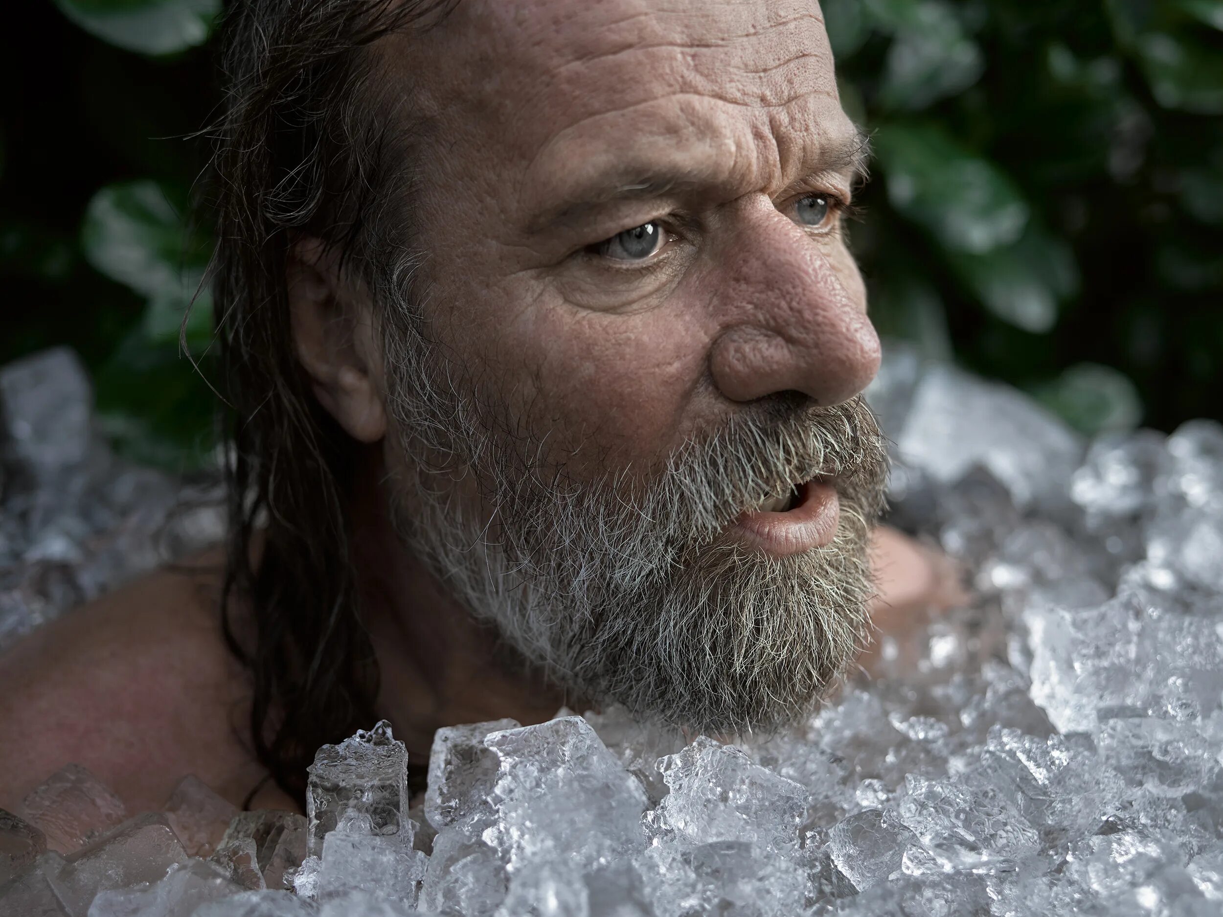 Вим фото. Вим хоф. wim hof iceman. вим хоф ледяной человек. dbv [jd.