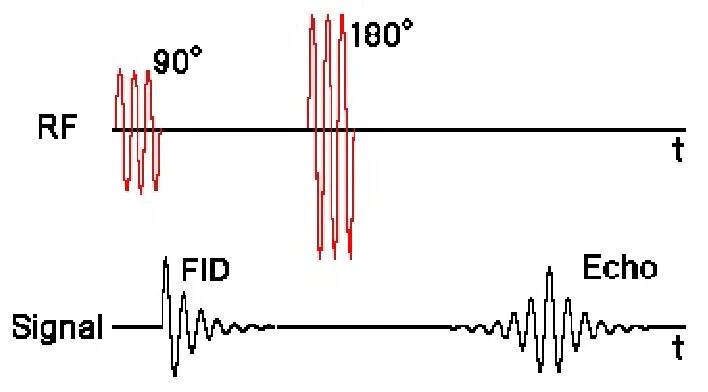 Эхо ха. Спиновое Эхо. Спин Эхо последовательность. Спин Эхо последовательность мрт. Последовательность карра Парселла.