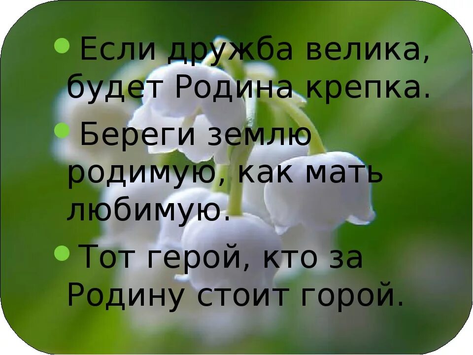 Береги землю РОДИМУЮ как мать любимую. Проект береги землю РОДИМУЮ. Проект береги землю РОДИМУЮ как мать любимую. Береги землю РОДИМУЮ как мать любимую картинки. Любимая мать отчизна