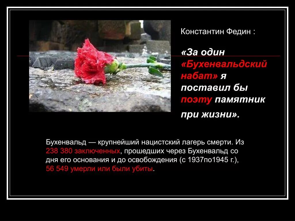 Слова набата