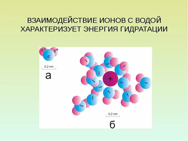 Взаимодействие ионов с водой