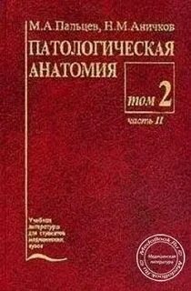 Пальцев н