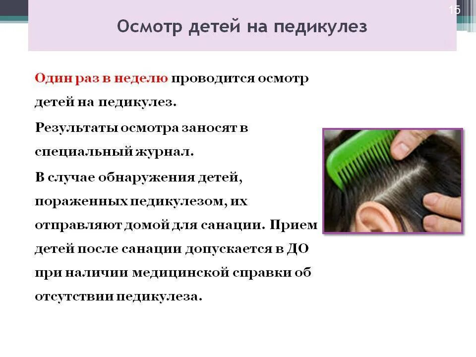 Алгоритм обследования пациента на педикулез. Осмотр ребенка на педикулез алгоритм. Осмотр на педикулез проводится. Осмотр волосистой части головы на педикулез алгоритм. Осмотры детей на педикулез проводятся в лагере