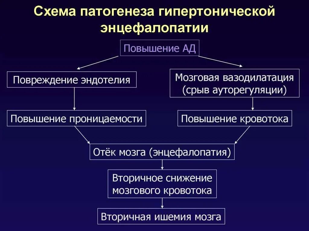 Гипертензивная энцефалопатия патогенез. Острая гипертоническая энцефалопатия патогенез. Патогенез гипертонической энцефалопатии. Патогенез дисциркуляторной энцефалопатии. Виды энцефалопатии