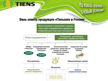 Tiens group отзывы