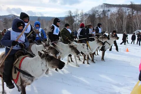 Тоджинского кожууна республики тыва