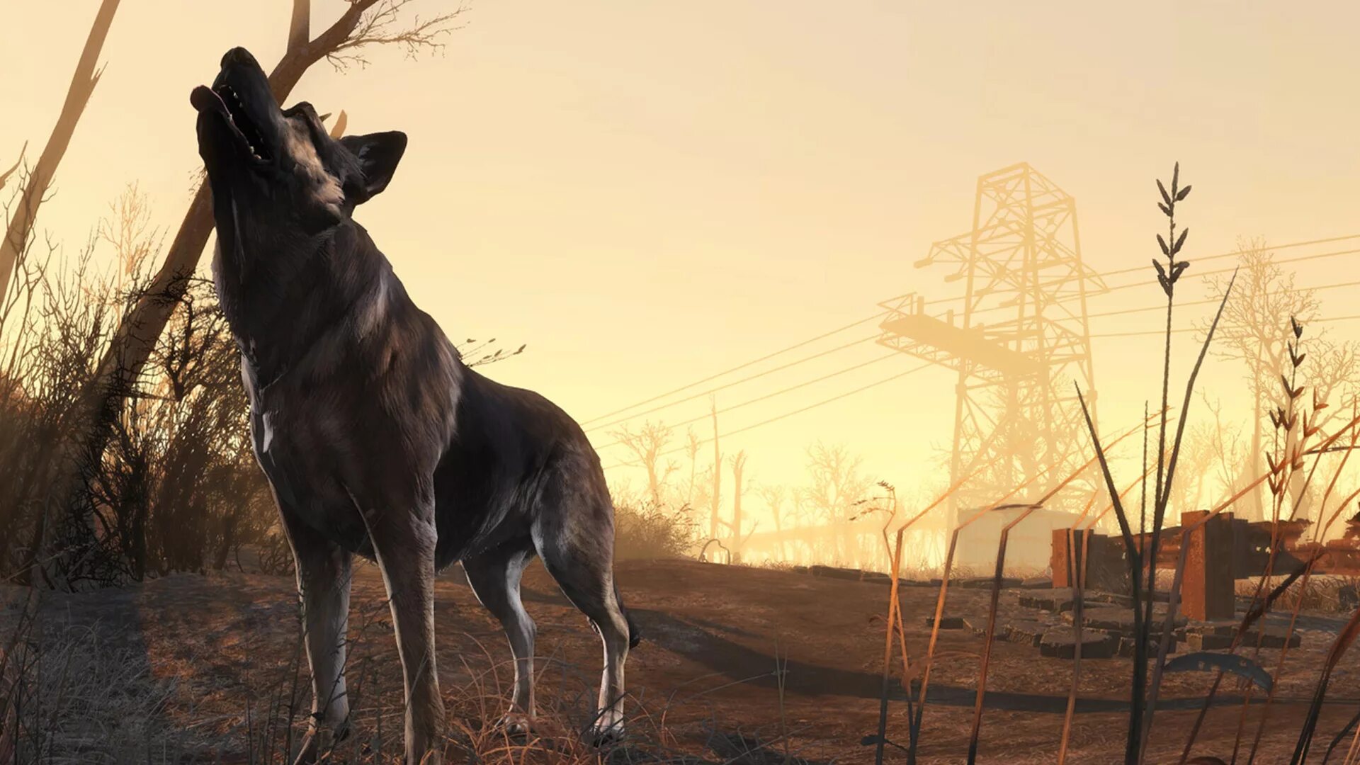 Фоллаут 4. Игра Fallout 4. Fallout 4 Dogmeat wallpapper.