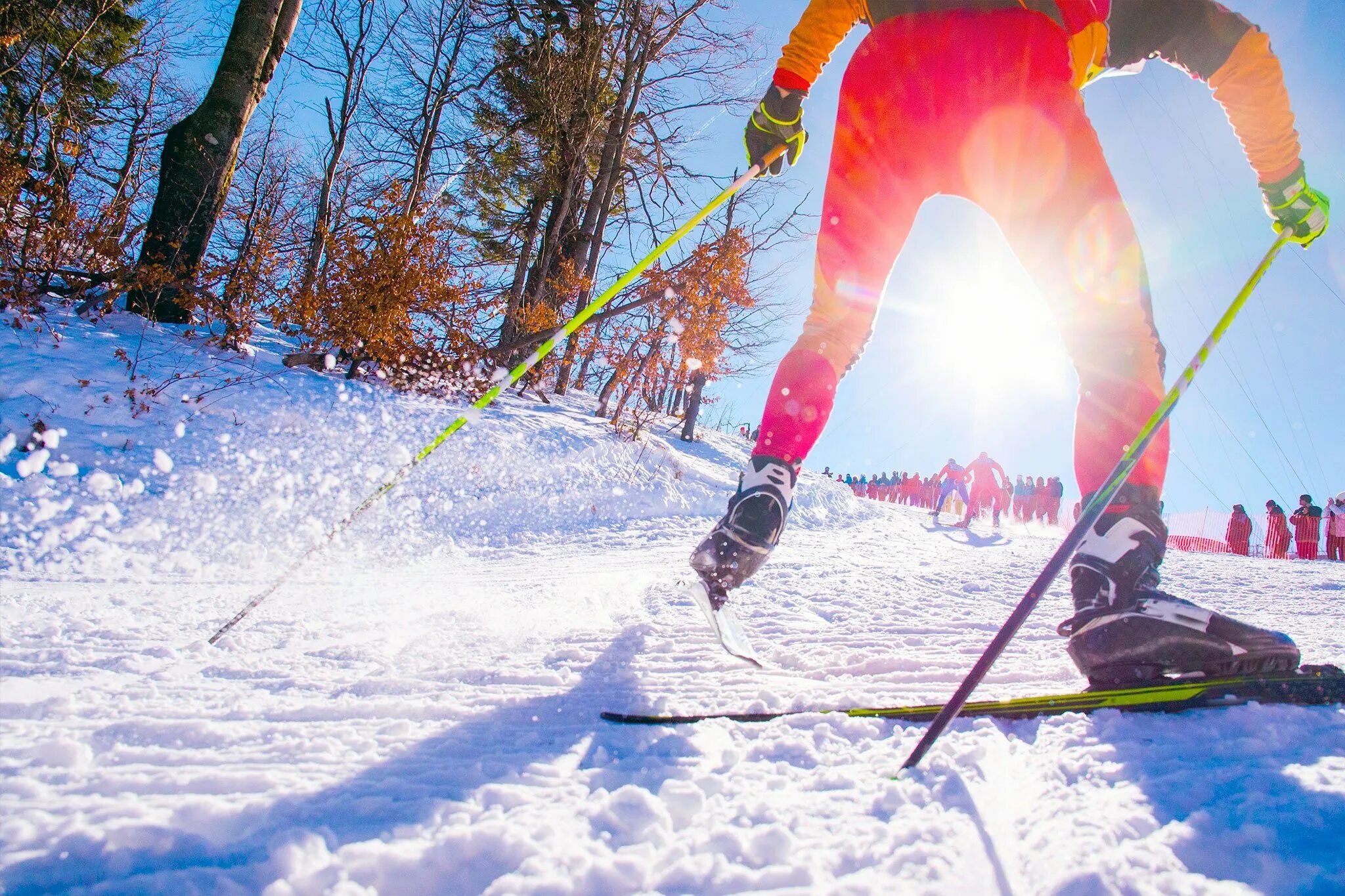 Do winter sports. Спортивные лыжи. Лыжи на лыжне. Беговые лыжи на снегу. Ноги лыжника.