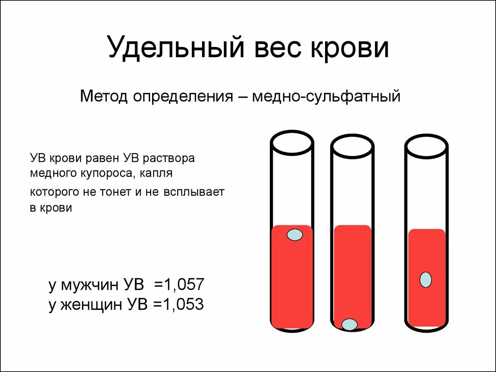 Какого размера кровь. Удельный вес крови как определить. Удельный вес цельной крови. Удельный вес крови в норме равен. Удельный вес плазмы крови составляет.