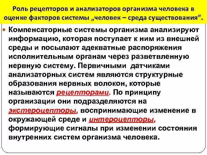 Принципами любой биологической системы являются. Принципами любой биологической системы являются
