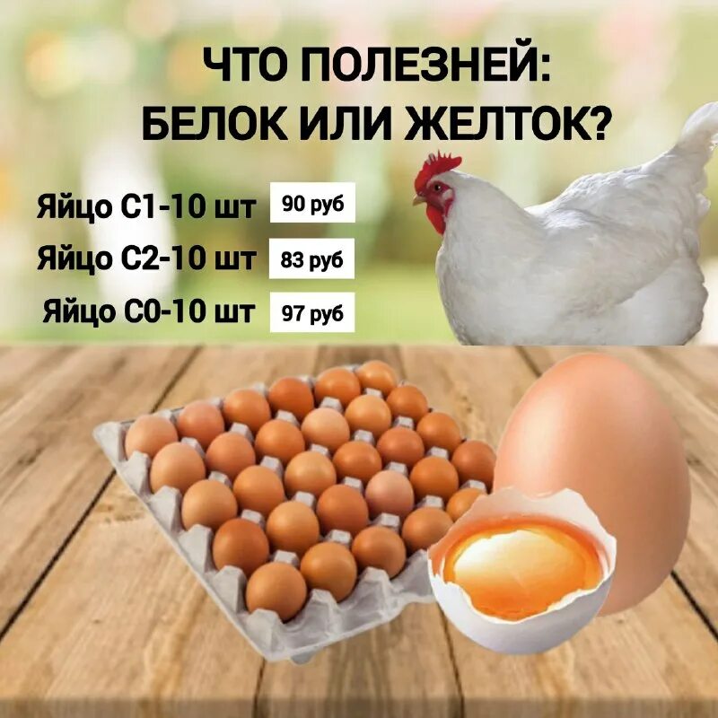 Интересные факты о правильном питании. Яйцо в смятку в крутую в мешочек. Собакам можно белок или желток. Яйцо собачки. Белок яйца.