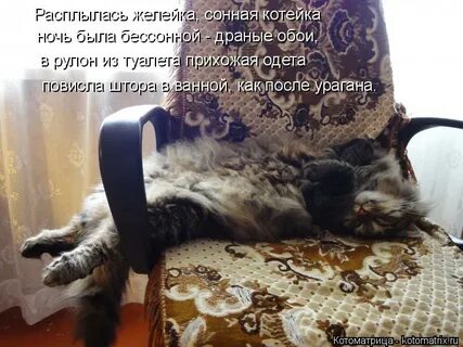 Вся в делах вся в заботах