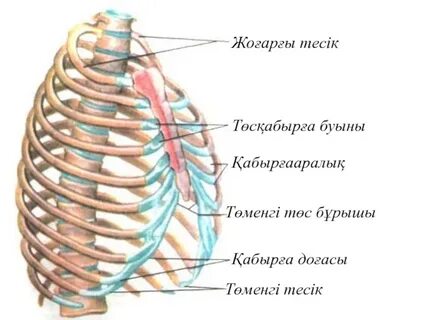 Үйдегі бейне оргазмы