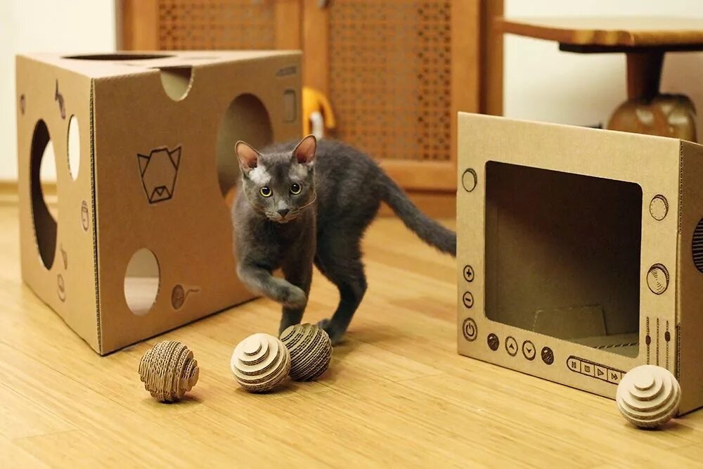 Сделать кота из коробки. Игрушка для кошки из картонной коробки. Игрушки для кошек из картона. Игрушка кот. Самодельные игрушки для кошек.