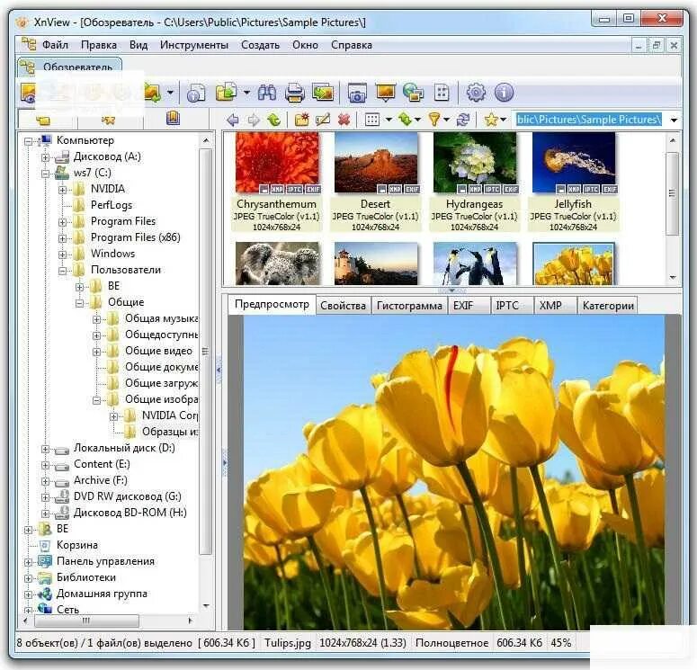 Xnview логотип. Xn view. Xnview classic. Xnview обзор. Xn view.