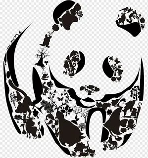 Visual pandas