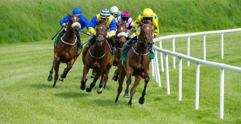 Horse race betting