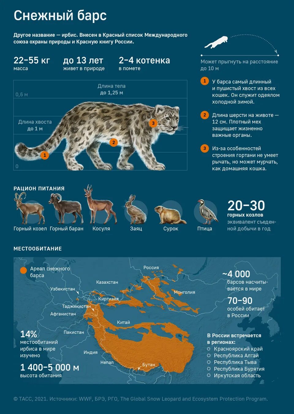 Ирбис ареал обитания. На какой высоте обитают. Структура и границы биосферы. Биосфера оболочки земли таблица. На какой высоте обитают.