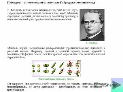 Гибридологический метод год
