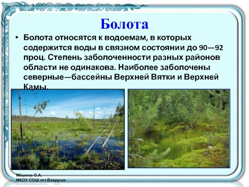 Болото относится к. К чему относятся болота. Болота Пермского края. К чему относиться болото.