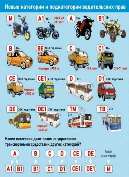 Категория с1е. Категории водительских прав с расшифровкой в 2022 году в России. Категории водительских прав с расшифровкой в 2022. Категории водительских прав с расшифровкой b,b1,m. Категории водительских прав с расшифровкой в 2021.