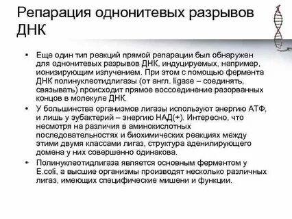 Приняли репарацию
