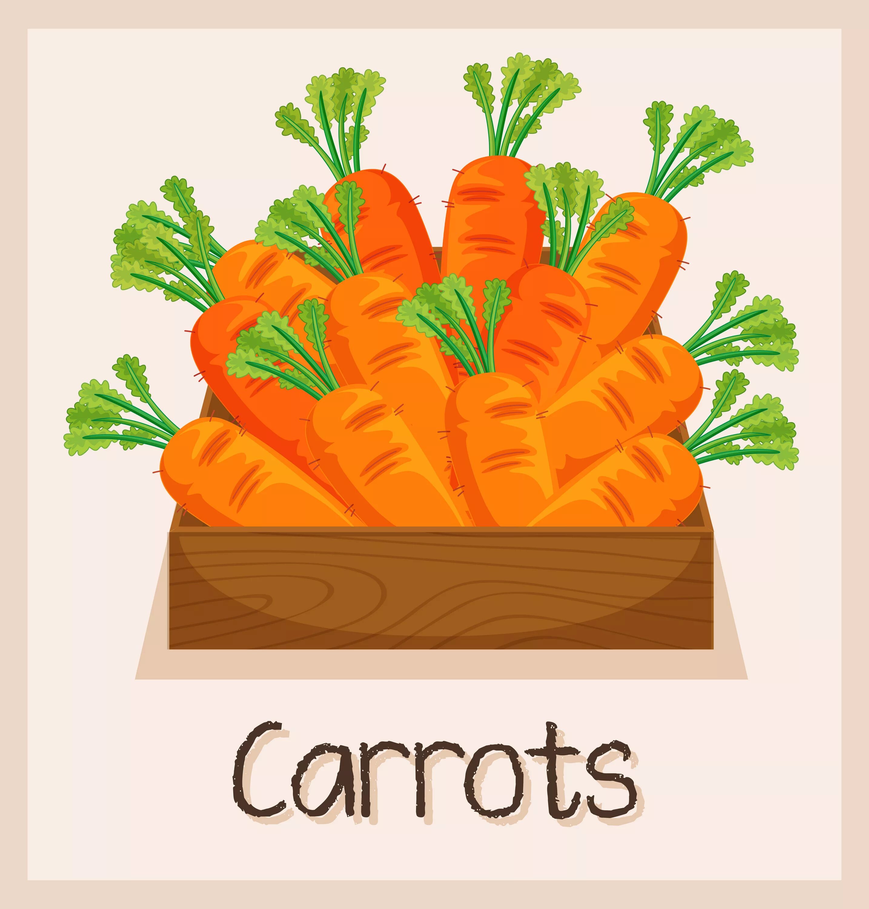 Are there any carrots