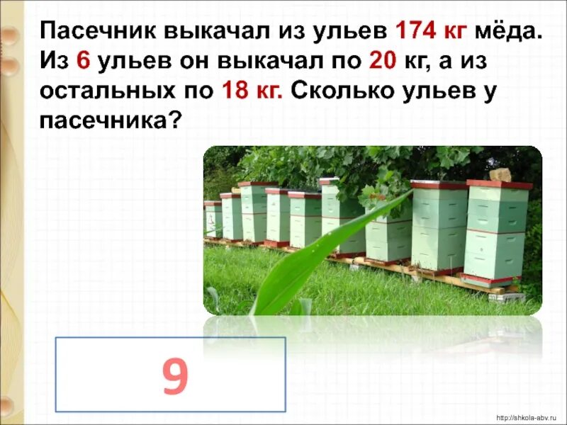 С одного улья задача. С одного улья задача