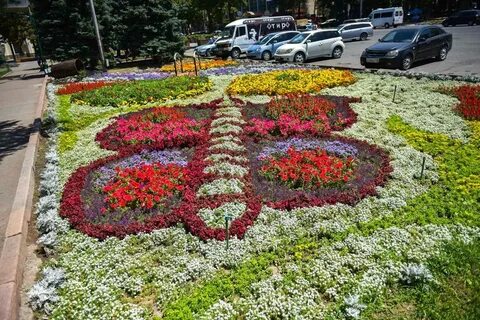 Цветы бишкек