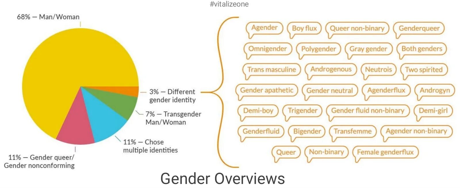 Нон бинари ориентация. Майя кобабе гендерный квир. Квир гендер. Gender queer: a memoir. Квир гендер.