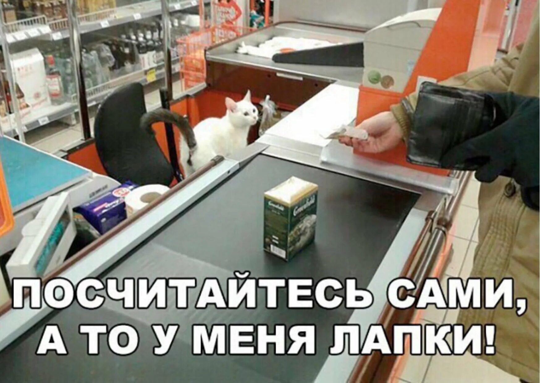 Ну сама открой