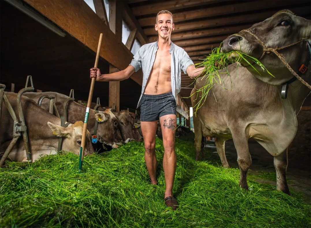 Молодая ферма молодая ферма. Девушка молодая на ферме. Молодая ферма на дзене последнее. Молодая ферма канал. Березовская ферма.