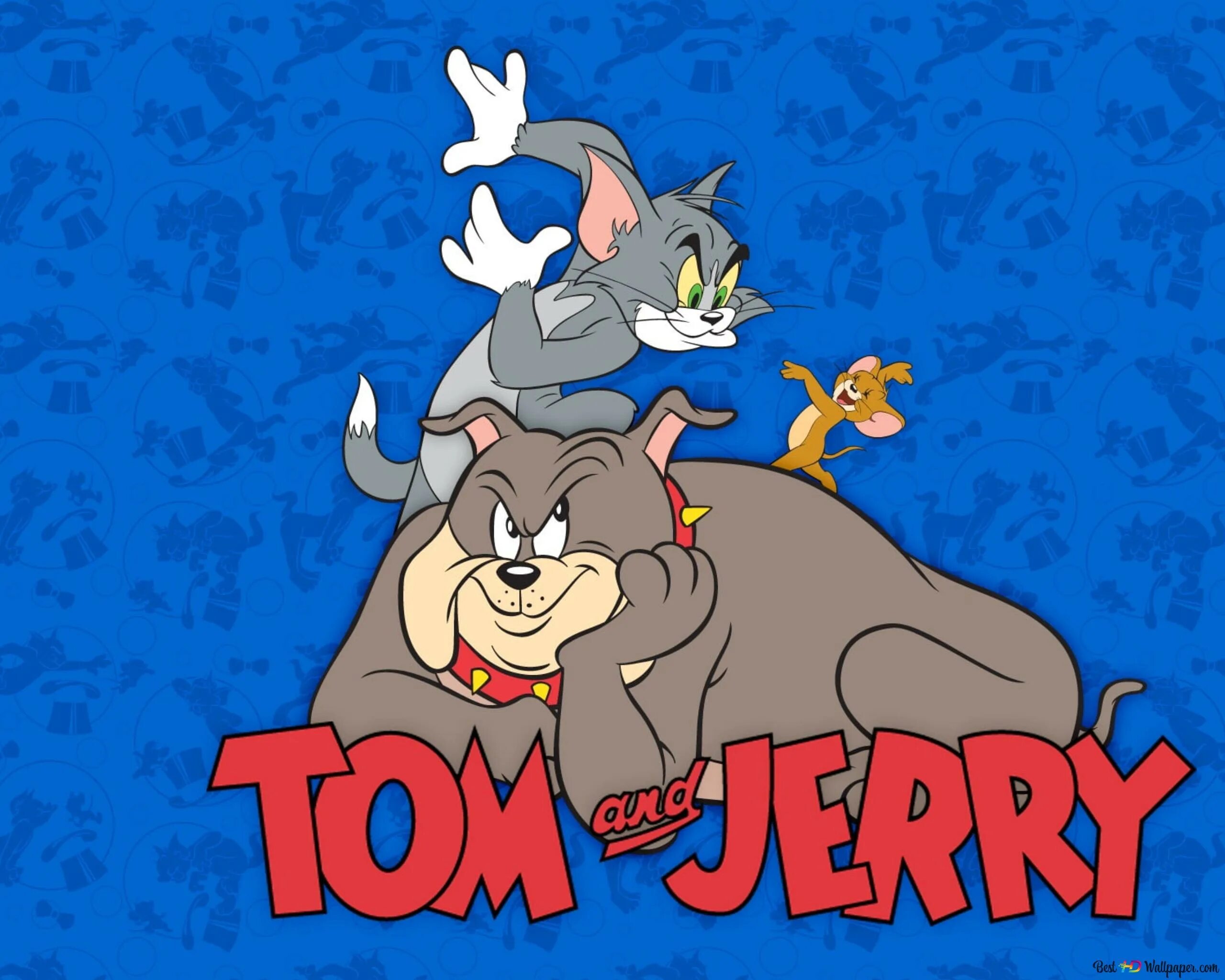 Злые обои том и джерри. Том и Джерри. Том и Джерри 1940-1967. Том и Джерри 1967.