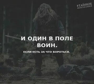 Один в поле воин bearwolf тест