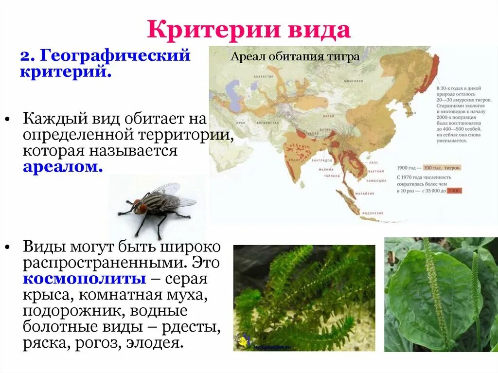 Экологический и географический критерии.