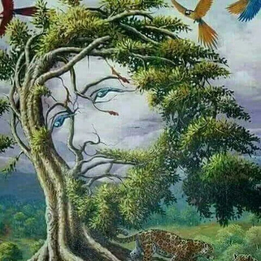Картинки лицо дерево. Оптические иллюзии Октавио Окампо деревья. Оптические картины иллюзии природа. Природные картины иллюзии. Оптическая иллюзия природы дерево.