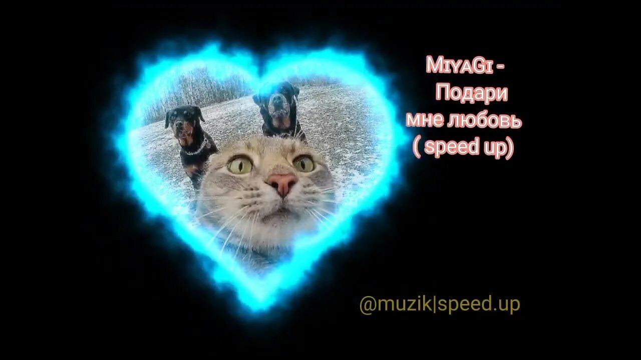 Бонни мияги Speed up. Подари мне любовь мияги. Любовь Speed up. Подари мне любовь Speed up. I love it speed up