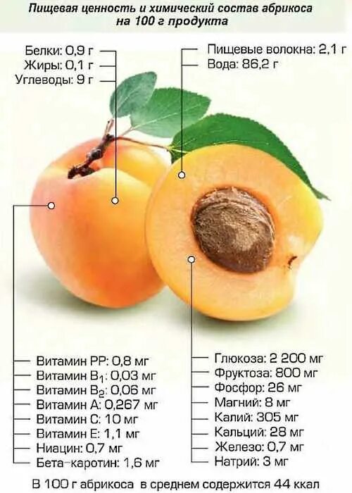 Химический состав плодов абрикоса. Витамины в абрикосе. Пищевая ценность абрикоса. Полезные вещества в абрикосе. Пищевая ценность фруктов