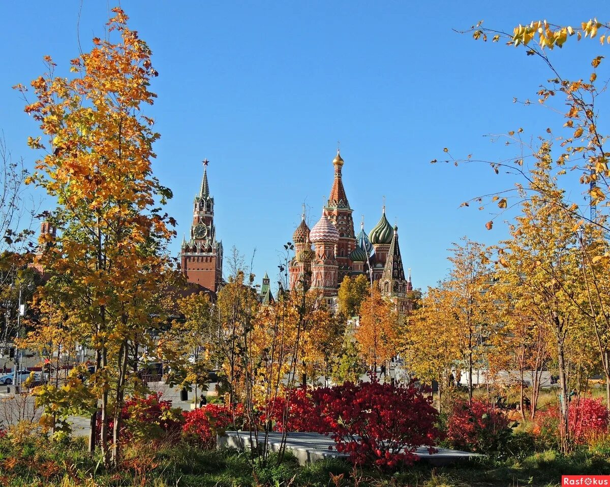 События осени москва. Золотая осень в Москве МГУ. Осенняя Москва. Москва осенью. Осень в центре Москвы.