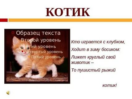 Пушистый кот предложение 1 класс