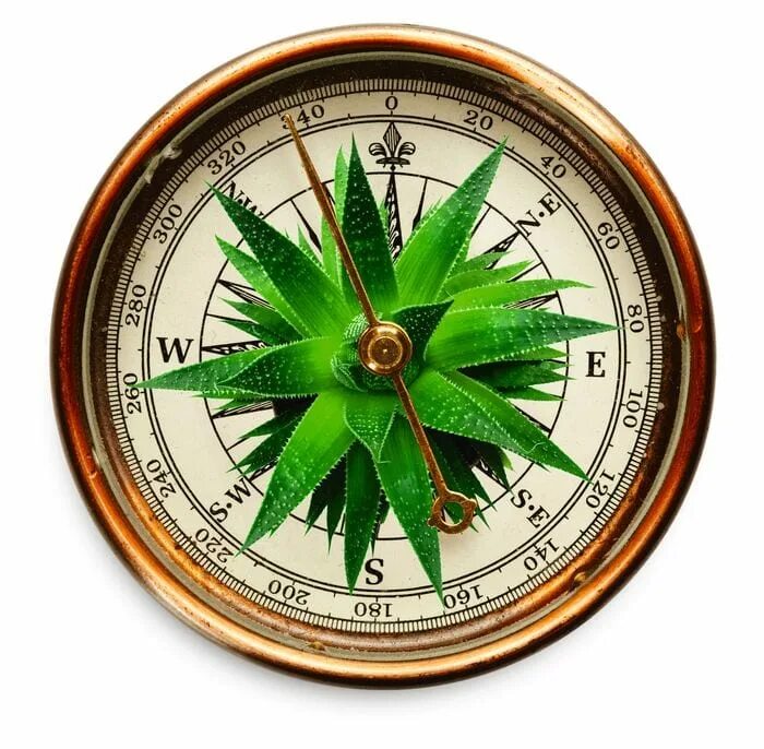 компас. проекты в компасе. компас. компас окружающий мир. 2 самый известный из них компас.